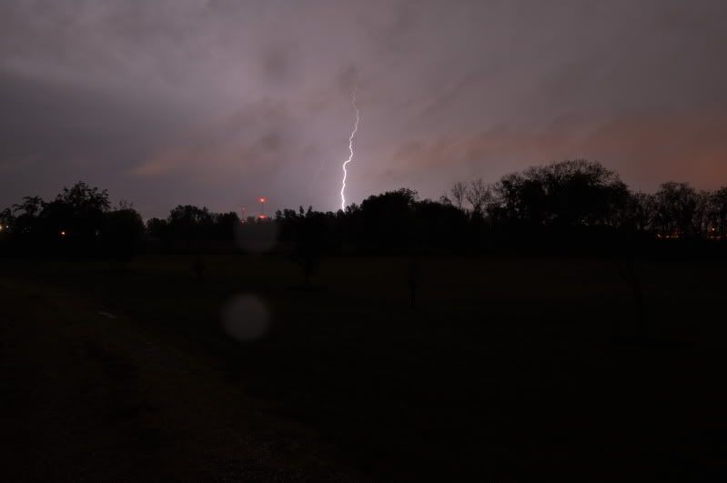 DSC_0502.jpg