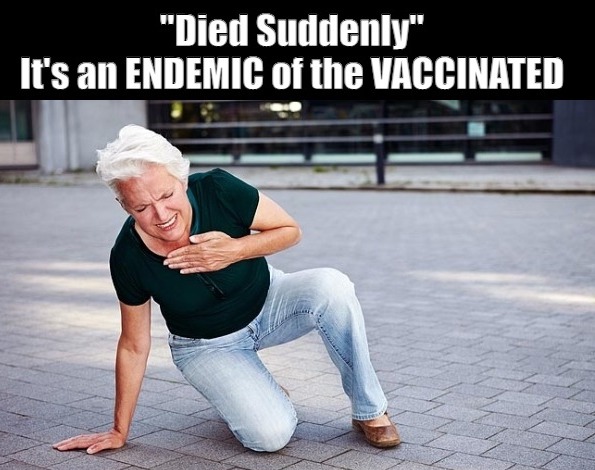 EMdVKmA.jpg