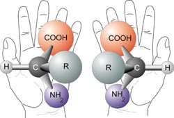 Chirality_with_hands.jpg