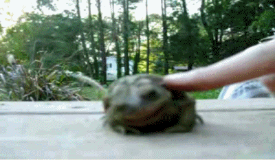 Iu3CF.gif