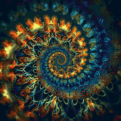 tumblr_ncn42uLACh1txeruoo1_250.gif