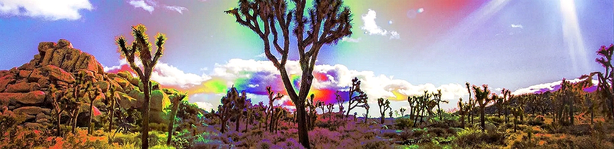 CACTUS.jpg