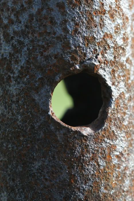 Rust.jpg