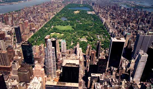 centralpark.jpg