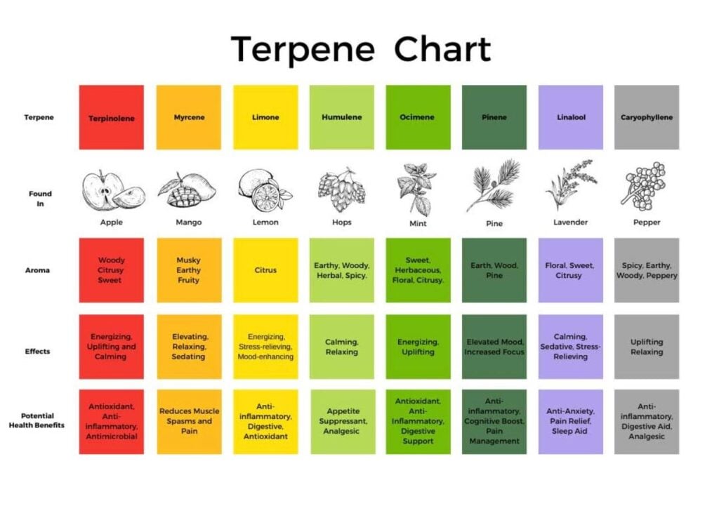 Terpenes-2-1024x731.jpg