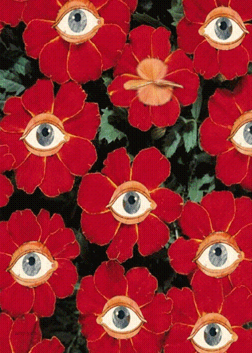 tumblr_maqezklXxP1qfv8tyo1_500.gif
