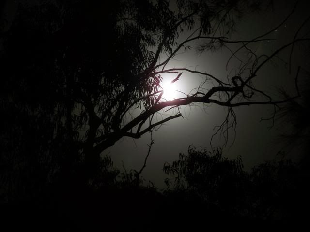 100_0853Small.jpg
