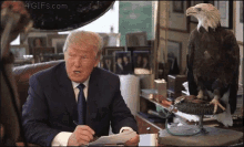 bald-eagle-donald-trump.gif