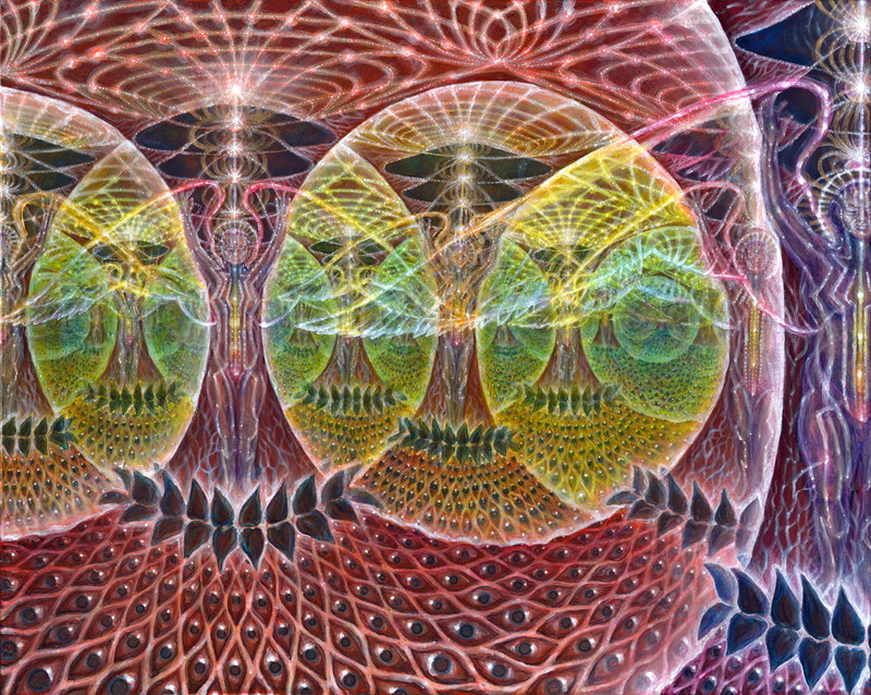 rhizomorphicresonance.jpg