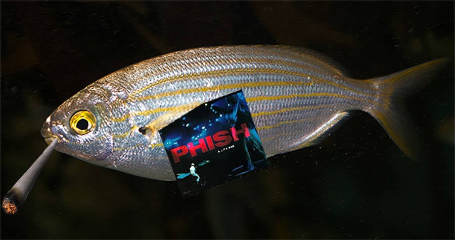 smoking-fish.jpg