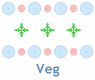 Vegetative_vs_Flowering_Phases.gif