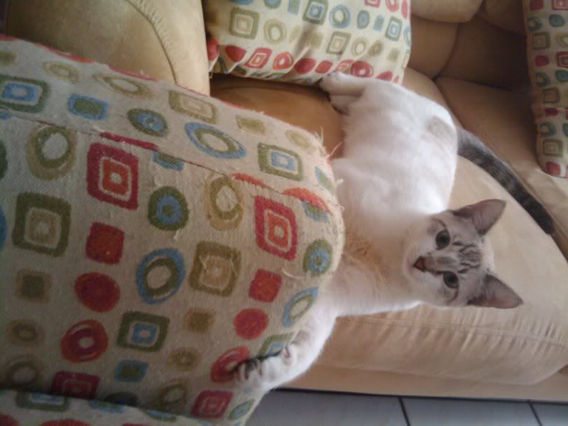 2010-10-26140122.jpg