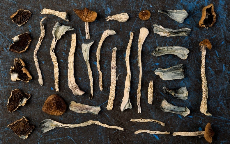 www.scientificamerican.com