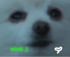 b3uOTfn.png