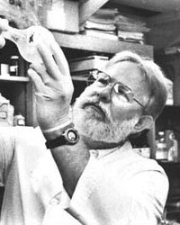 nichols_david1_med.jpg