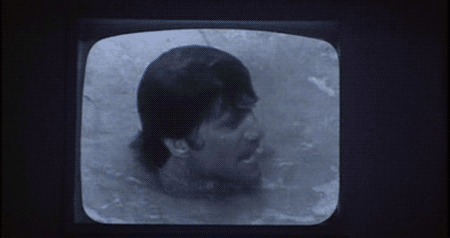 tumblr_ltd8wz45Ym1r559vso1_r1_500.gif