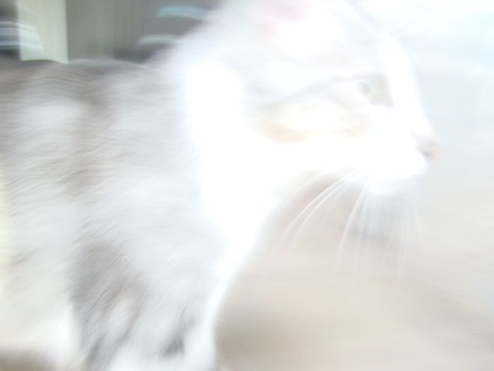 ghosttheme.jpg