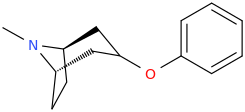Phenyl%203-tropaneyl%20ether.png