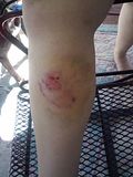 th_2012-03-10135717.jpg