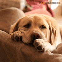 200_s.gif