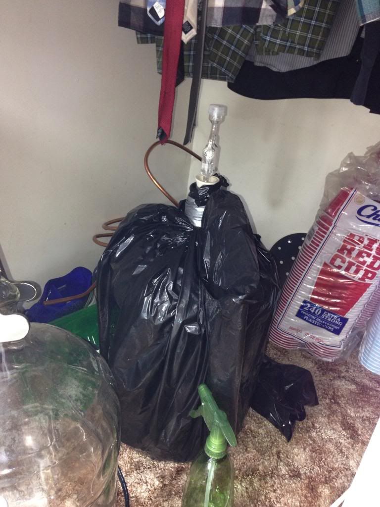 IMG_0146_zps08867735.jpg