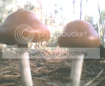 HUNTING4017.jpg