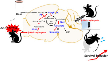 www.sciencedirect.com