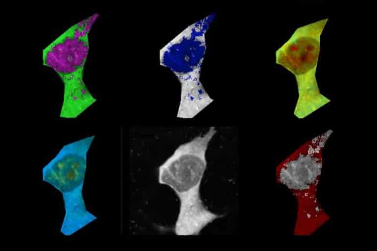 neurosciencenews.com