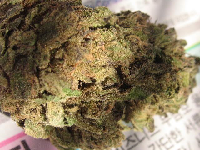 northernlights014.jpg