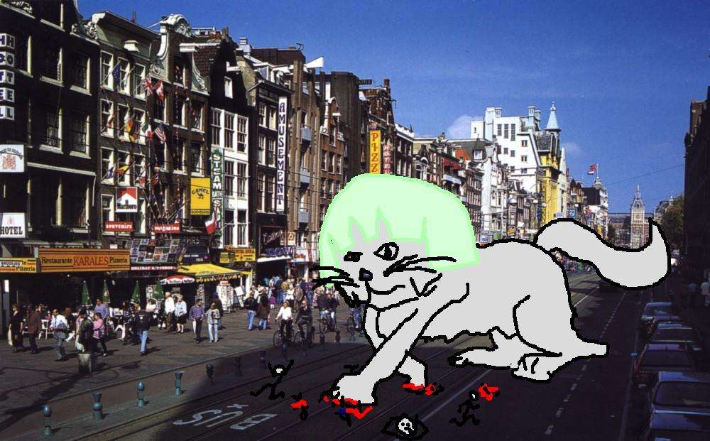 amsterdammainsthl6.jpg