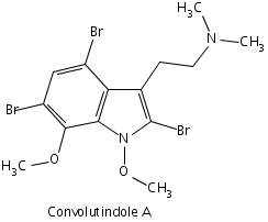649144703-Convolutindole_A.png