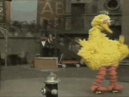 big bird roller skates GIF
