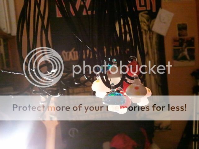 2011-01-22010140.jpg