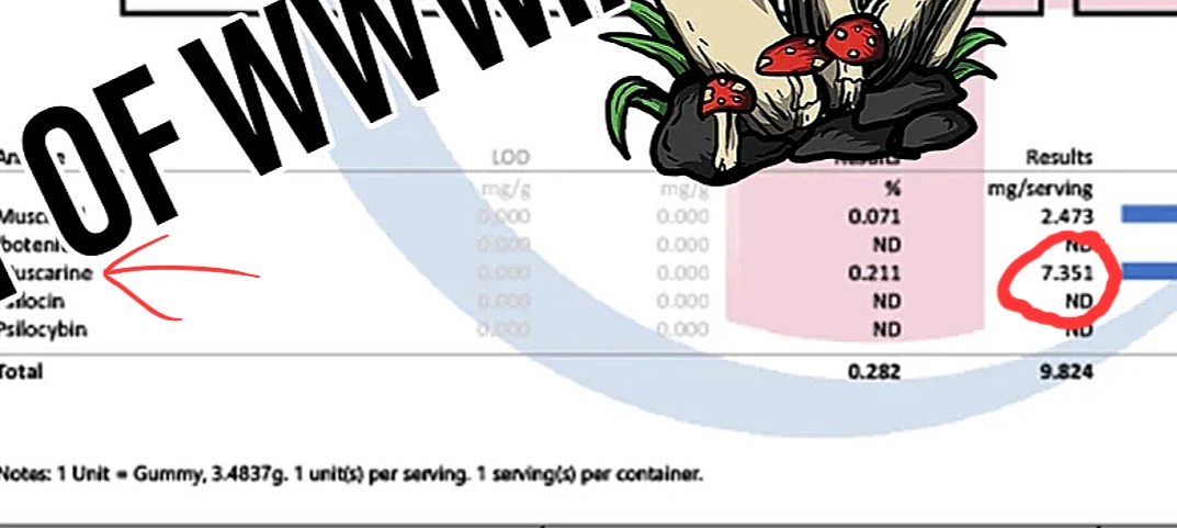 Screenshot-20240412-003552-Chrome.jpg