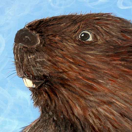 beaver_detail.jpg