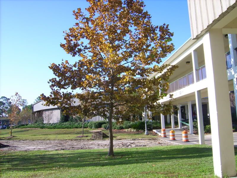 Picture197.jpg