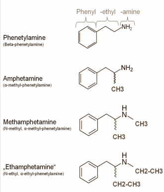 betaphenylethylamines.gif