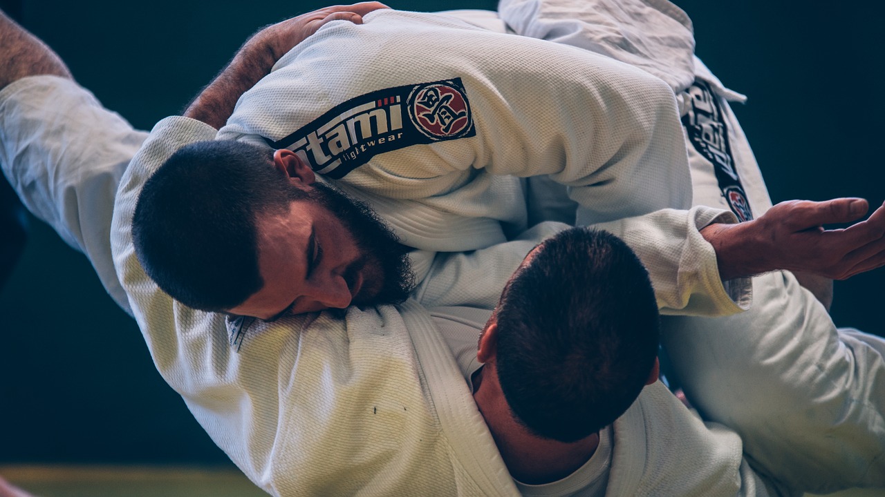 brazilian-jiu-jitsu-2957075_1280.jpg