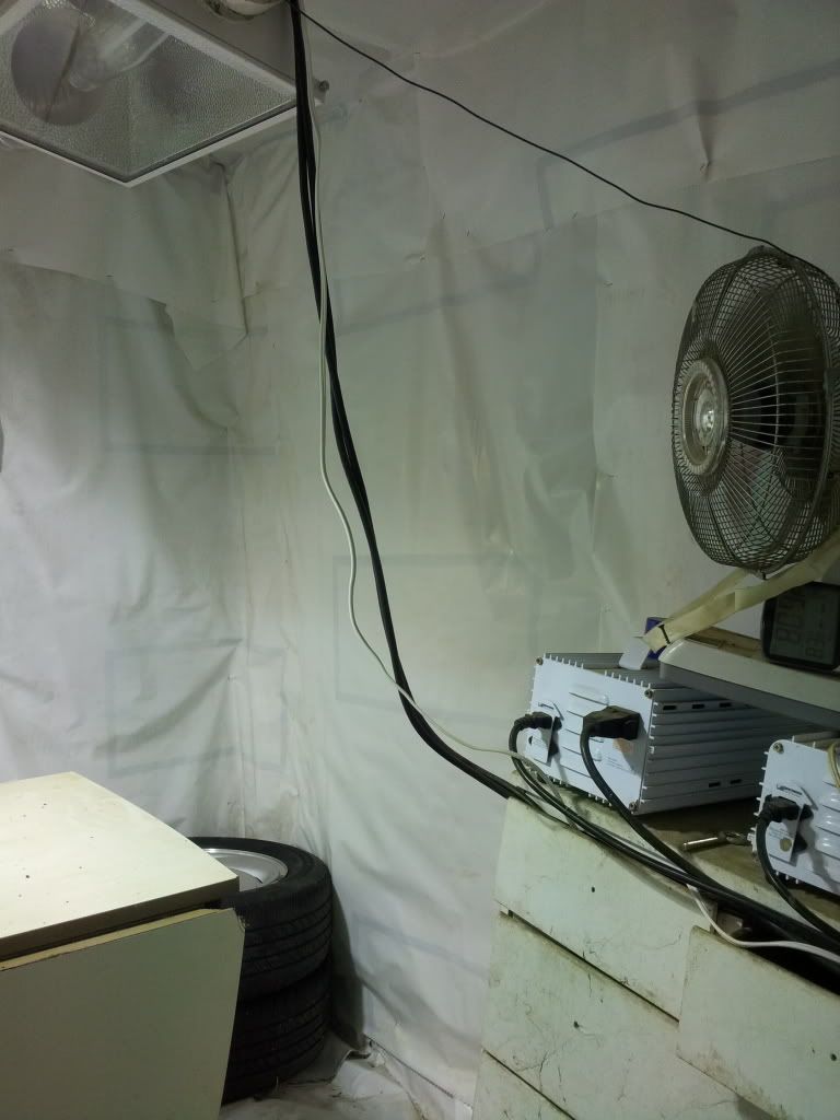 20131016_170242.jpg