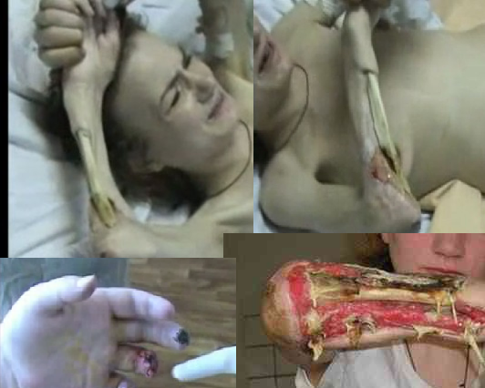 krokodil_montage.png