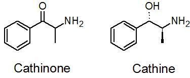 cathinone-cathine.jpg