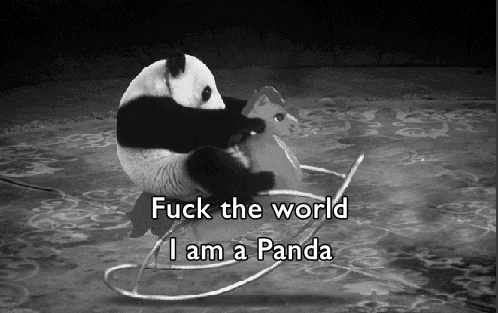 tumblr_mbhmtm2JXS1rh7bwvo1_500.gif