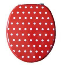 toiletseat_zps7b6b80f1.jpg