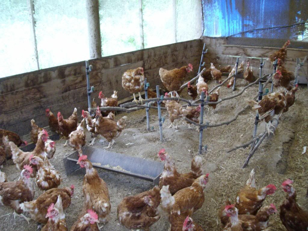 farmingpictures010.jpg