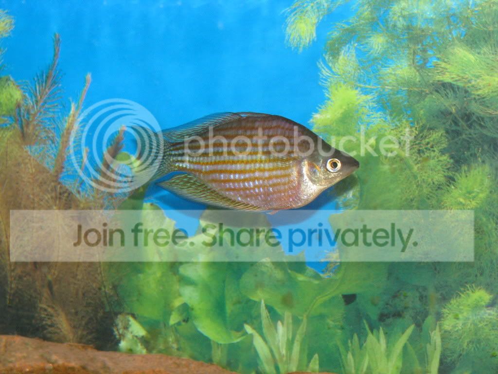 IMG_0031.jpg