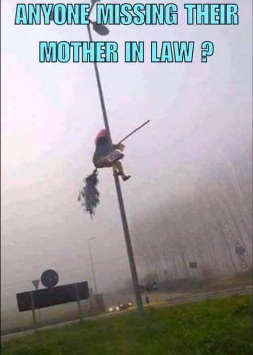lAM8zDN.jpg
