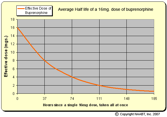 Bupe_half-life-graph.jpg