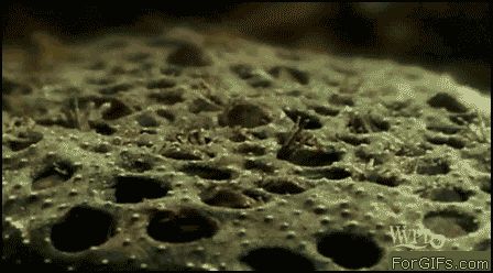 n84GNtR.gif