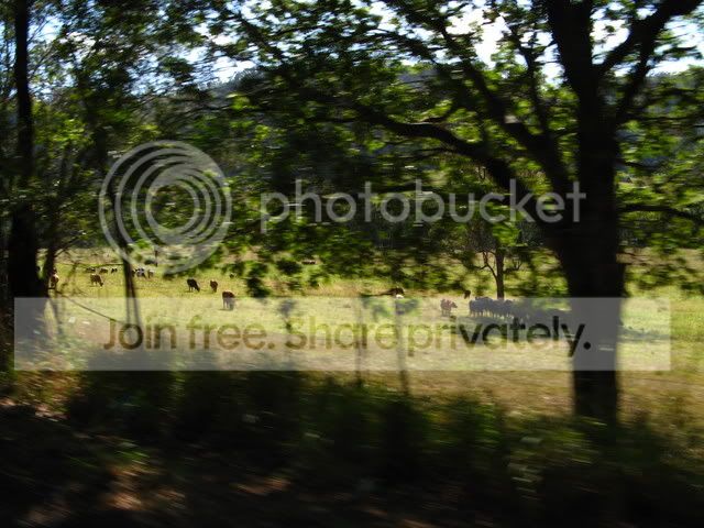 IMG_0488.jpg