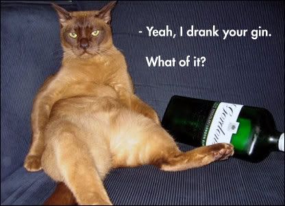 iz-my-gin-now.jpg